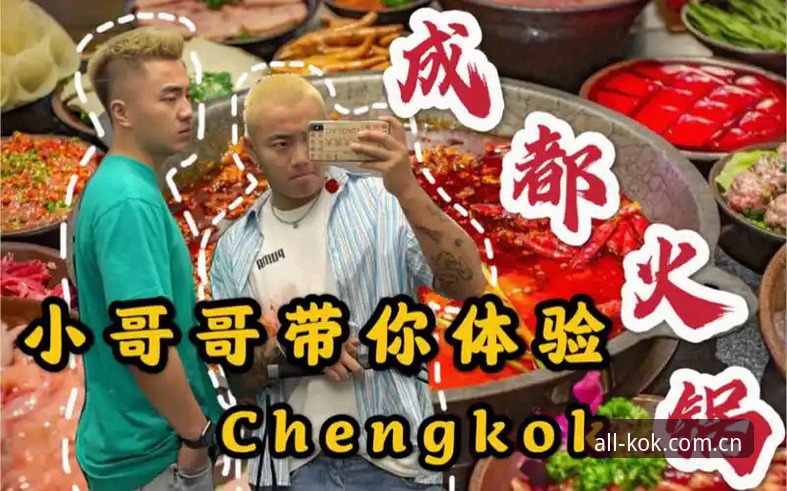 KOK全站平台使用体验详解